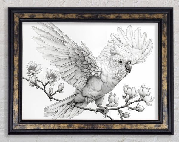 Tropical Bird On A Branch Framed Print