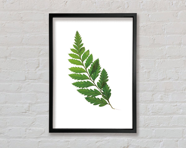Twig Framed Print