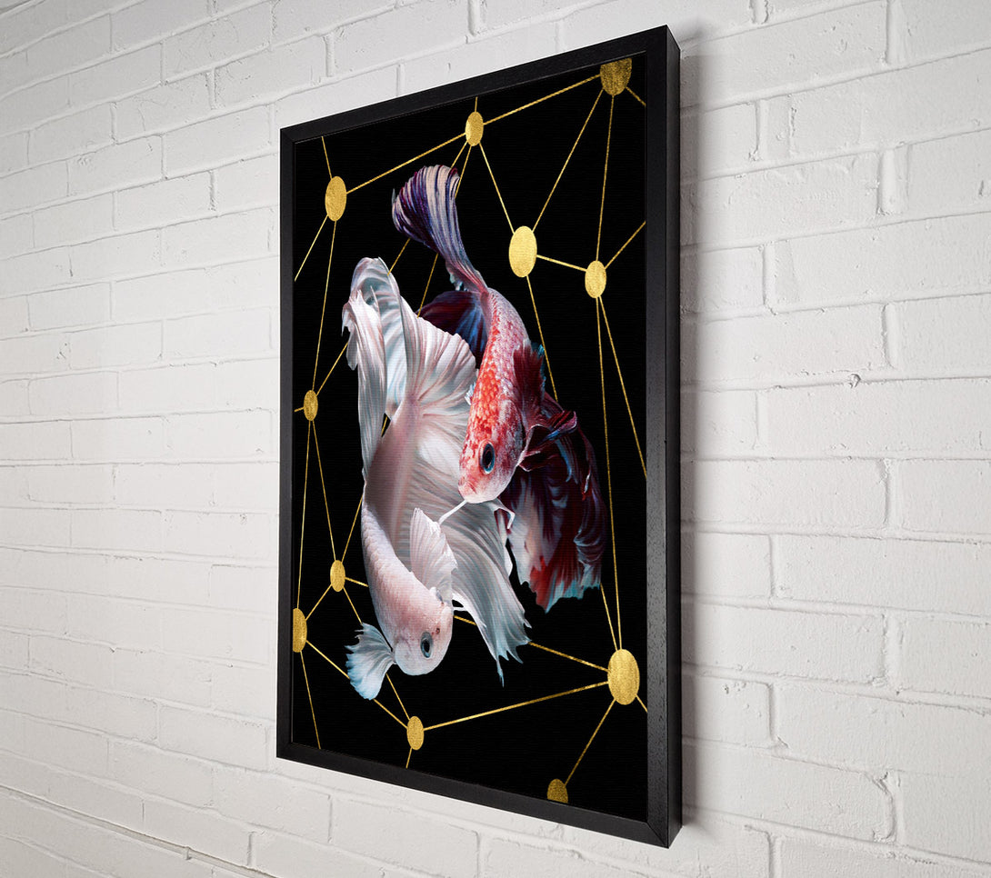  A Canvas Print of Two Fish Swimming  Golden Spots Canvas Print