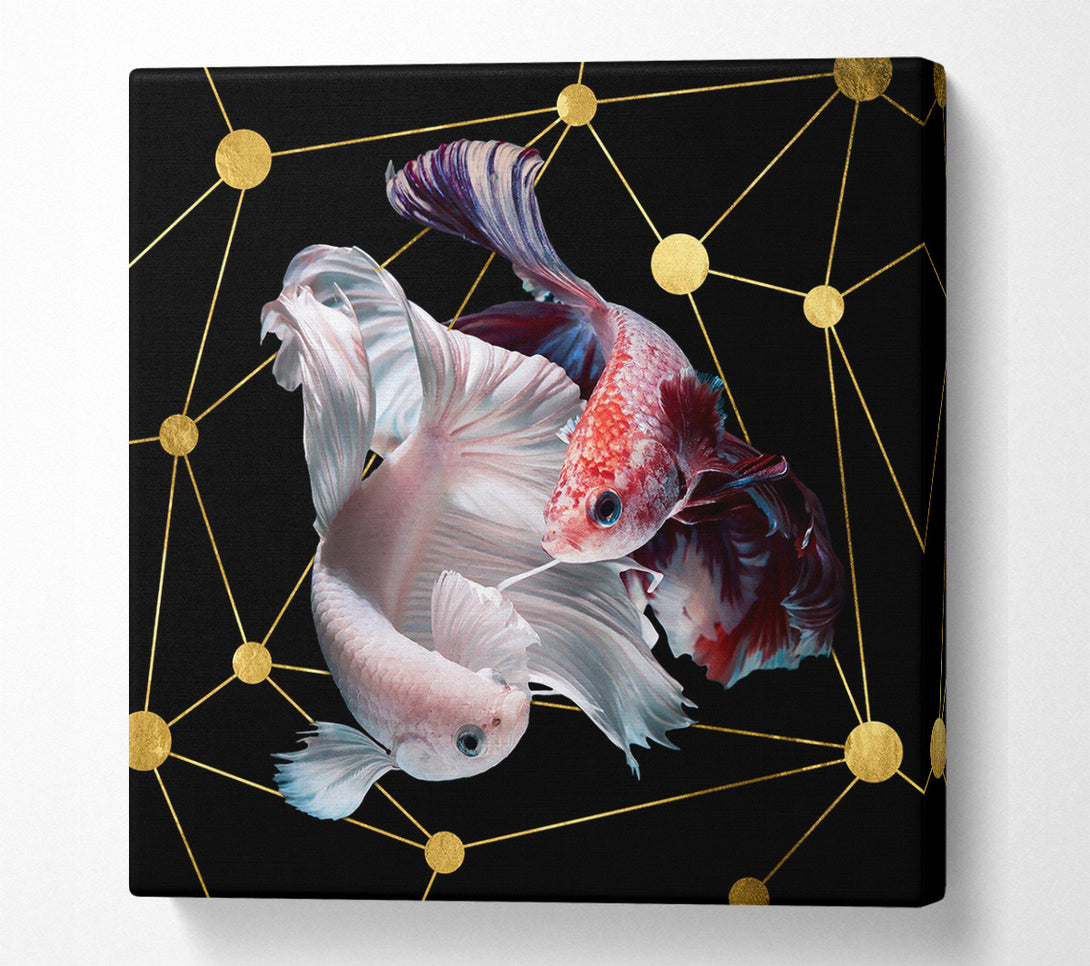  A Canvas Print of Two Fish Swimming  Golden Spots Canvas Print