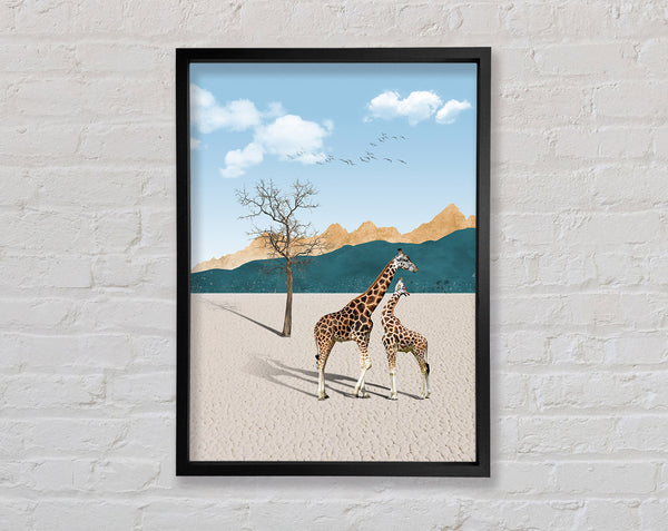 Two Giraffes In Desert Framed Print