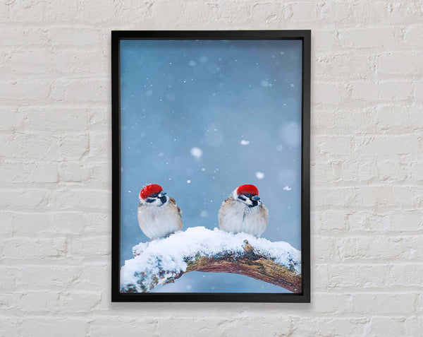 Two Sparrows Framed Print