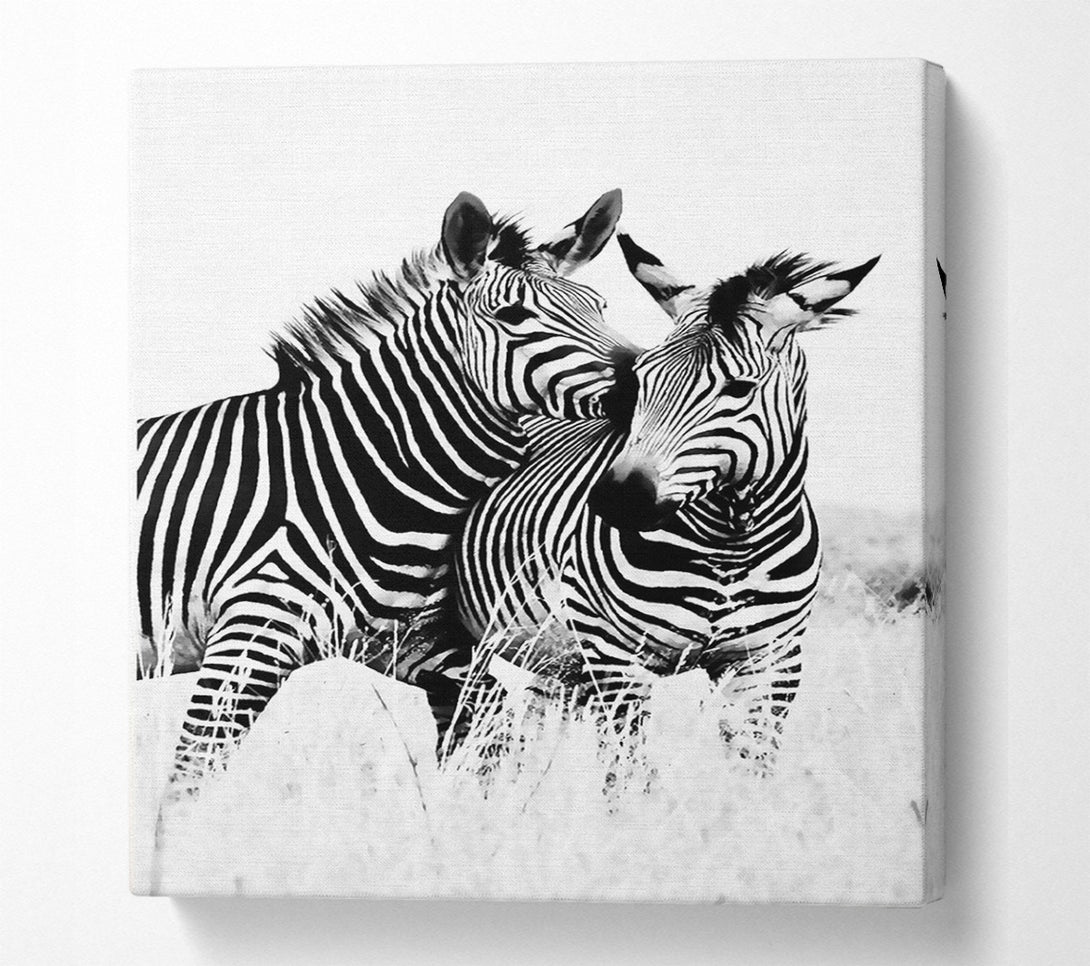  A Canvas Print of Two Zebras Together Canvas Print