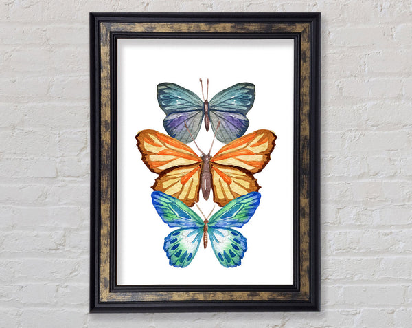 Watercolour Butterflies Framed Print
