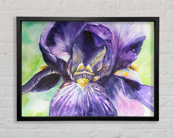 Watercolour Purple Orchid Framed Print