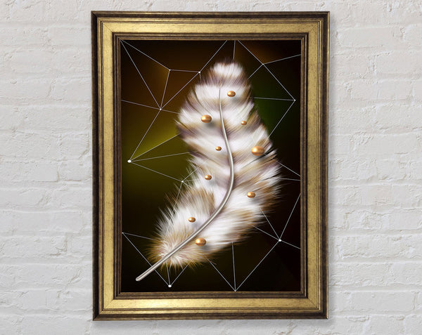 White Feather Framed Print