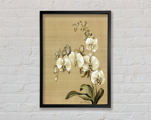 White Orchid Patch Framed Print