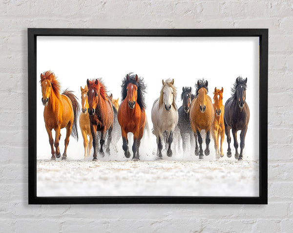 Wild Horse Framed Print