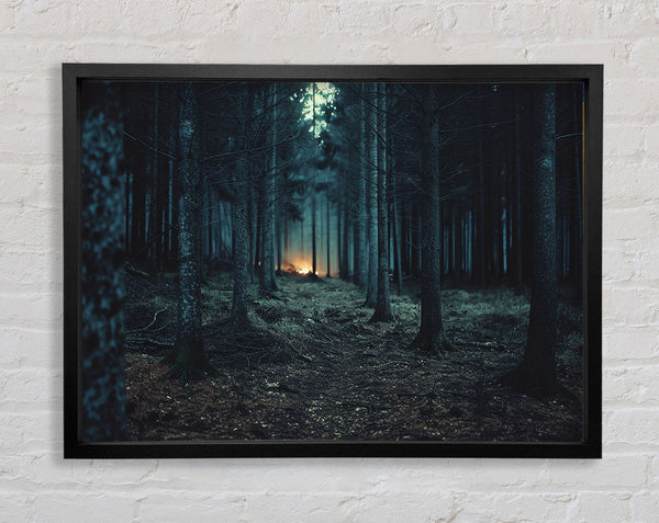 Woodland At Dusk Framed Print