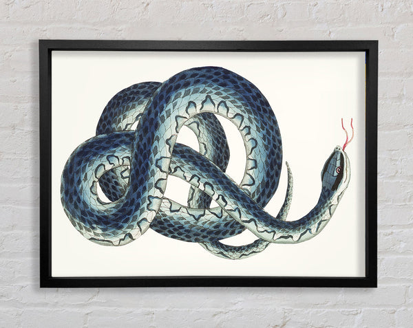 Wound Serpent Framed Print