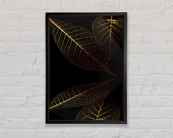 Yellow And Orange Leaves Framed Print