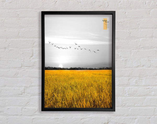 Yellow Field Framed Print