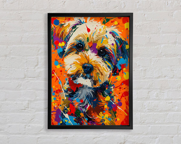 Yorkshire Terrier Graffiti Framed Print