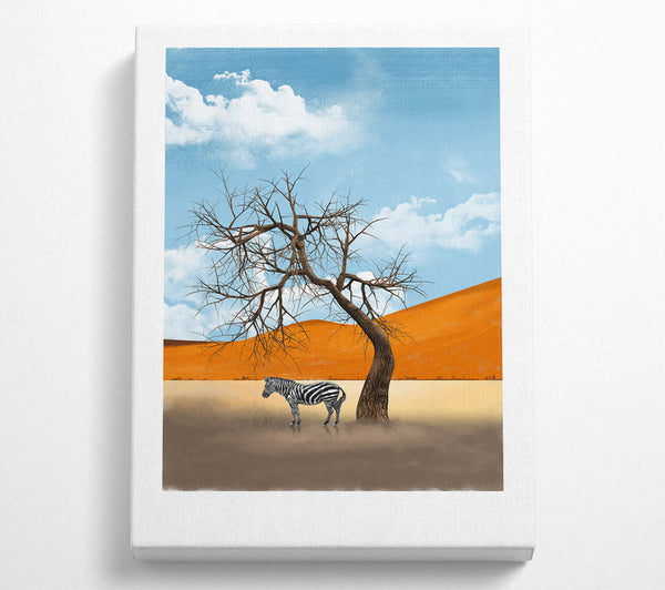 Zebra Under Tree  Orange Mountain