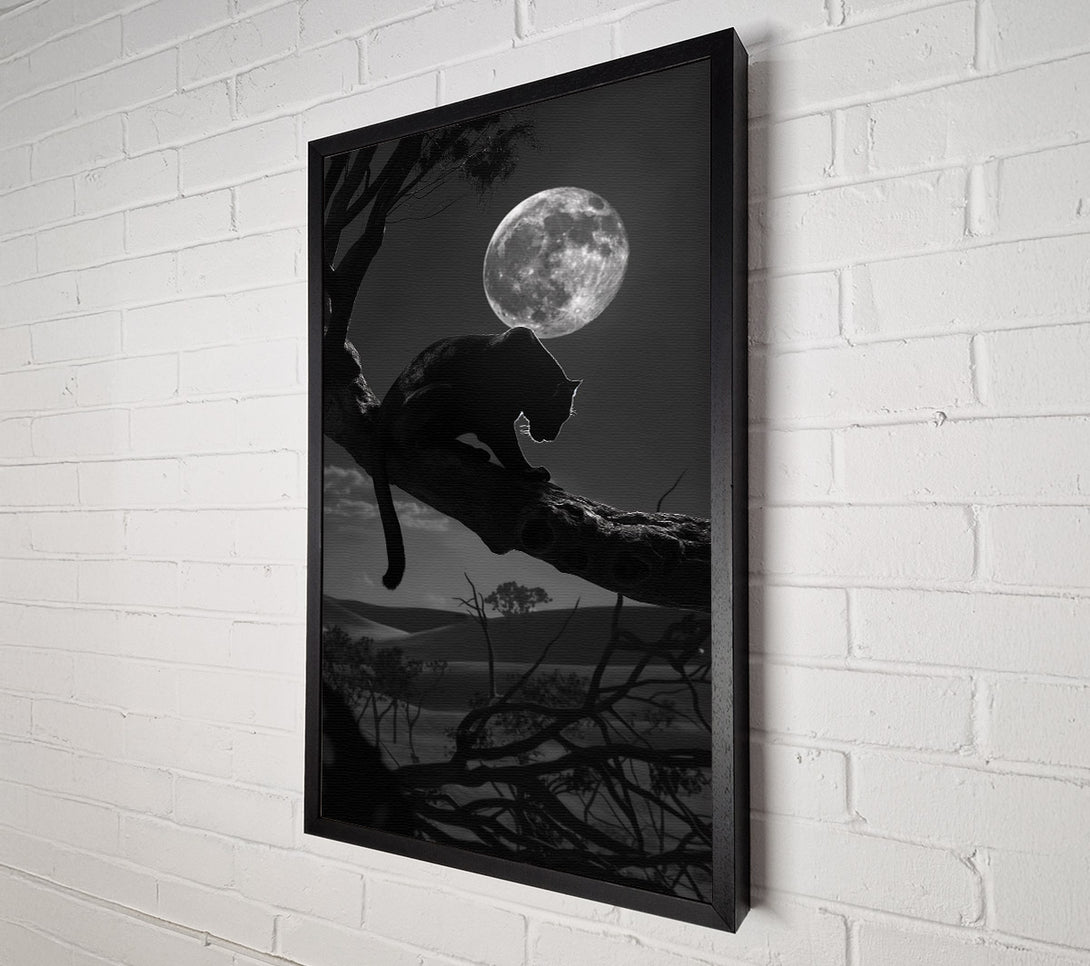  A Canvas Print of Night Prowler Canvas Art