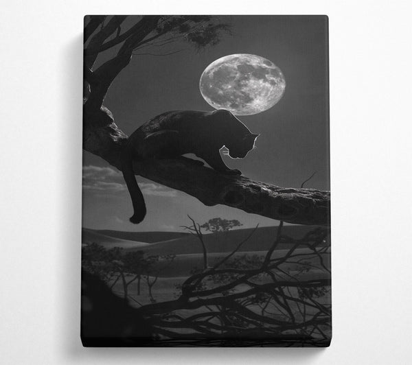  A Canvas Print of Night Prowler Canvas Art