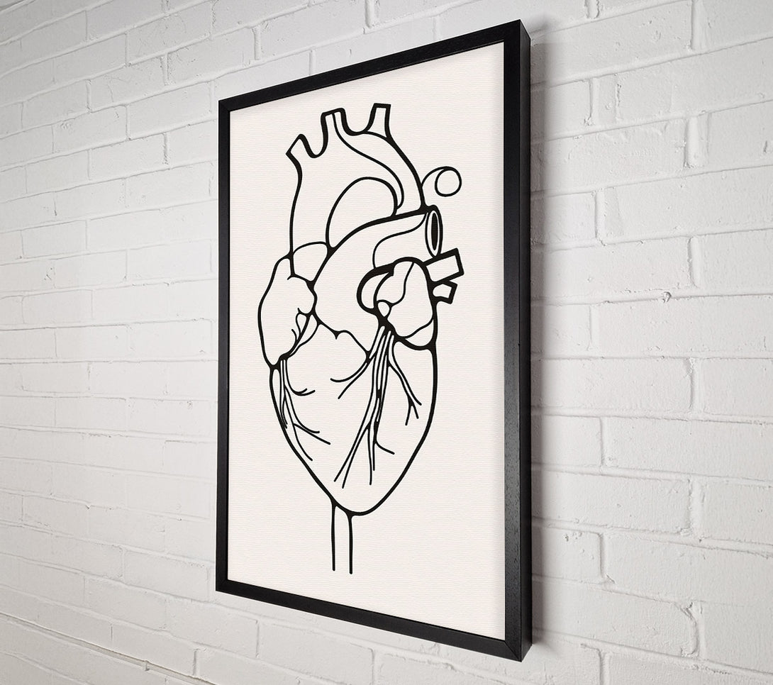  A Canvas Print of The Anatomy Of The Heart Canvas Print