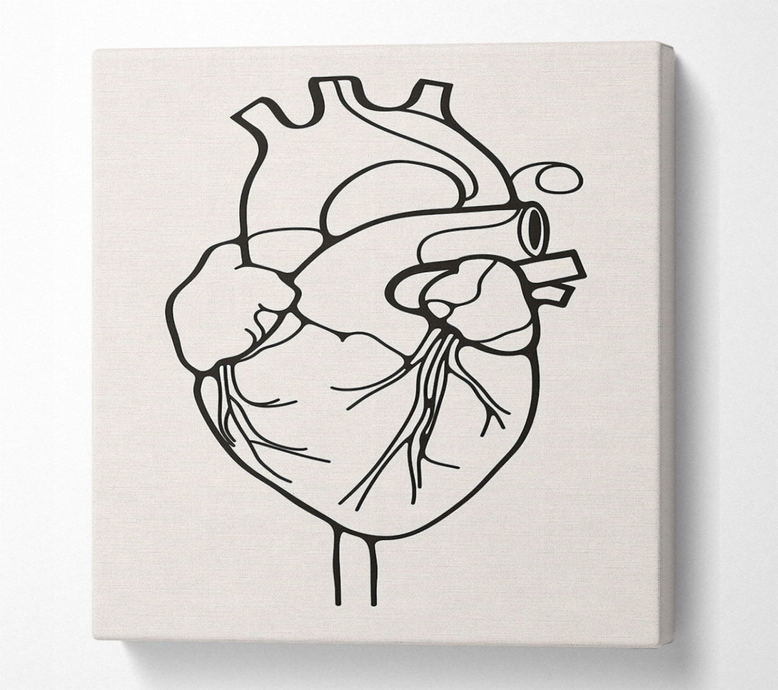  A Canvas Print of The Anatomy Of The Heart Canvas Print
