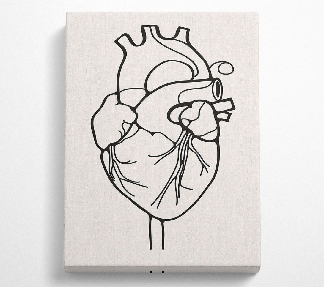  A Canvas Print of The Anatomy Of The Heart Canvas Print