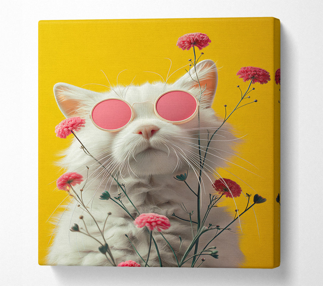 A Canvas Print of Cool Kitty Canvas Art