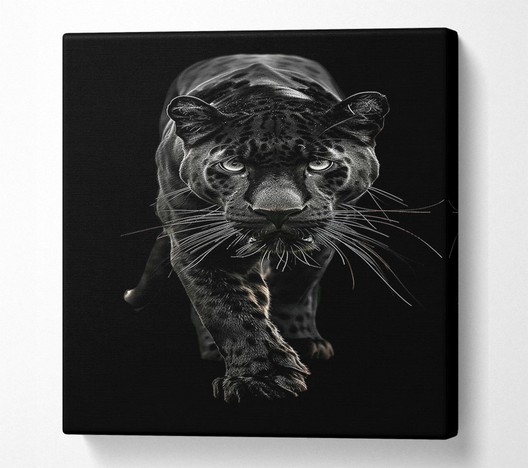  A Canvas Print of The Panther's Gaze Canvas Art
