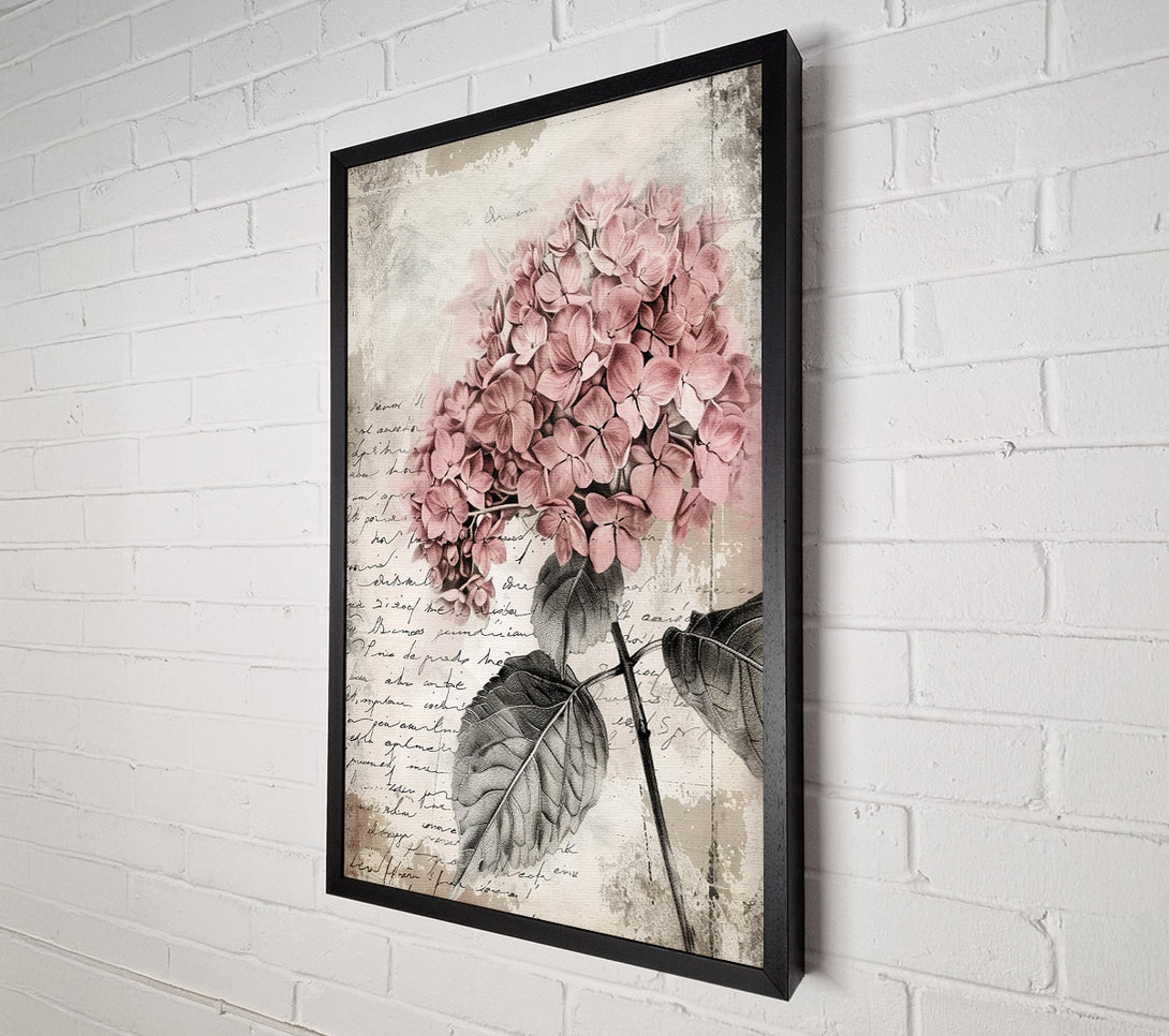  A Canvas Print of Vintage Hydrangea Canvas Print