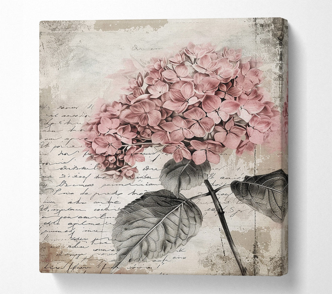  A Canvas Print of Vintage Hydrangea Canvas Print
