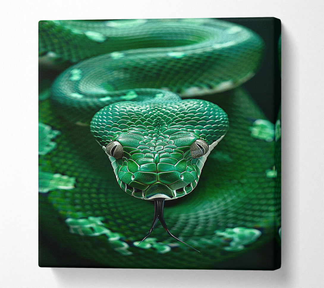  A Canvas Print of Serpent'S Gaze Canvas Wall Art