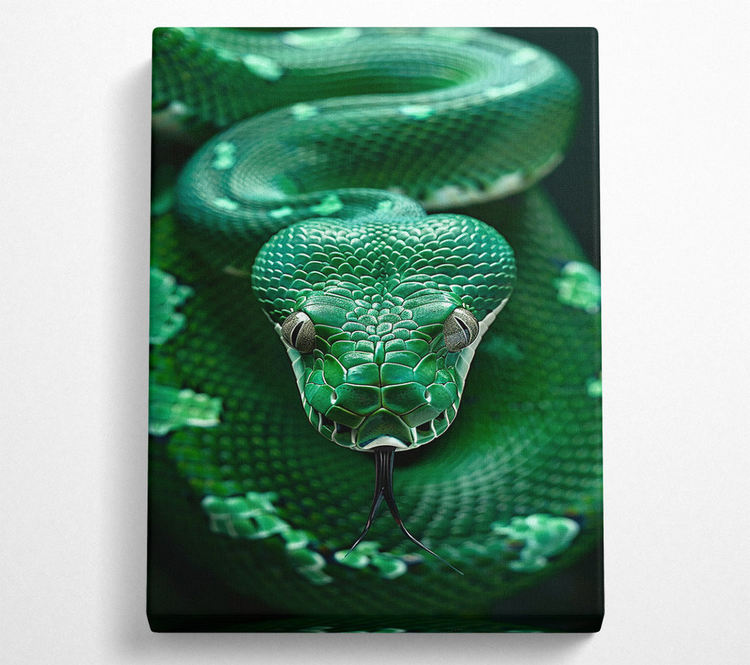  A Canvas Print of Serpent'S Gaze Canvas Wall Art