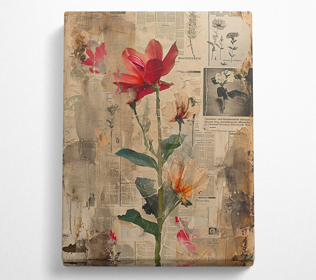  A Canvas Print of Ephemeral Beauty Canvas Art