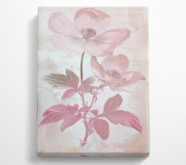  A Canvas Print of Pink Petals Canvas Print