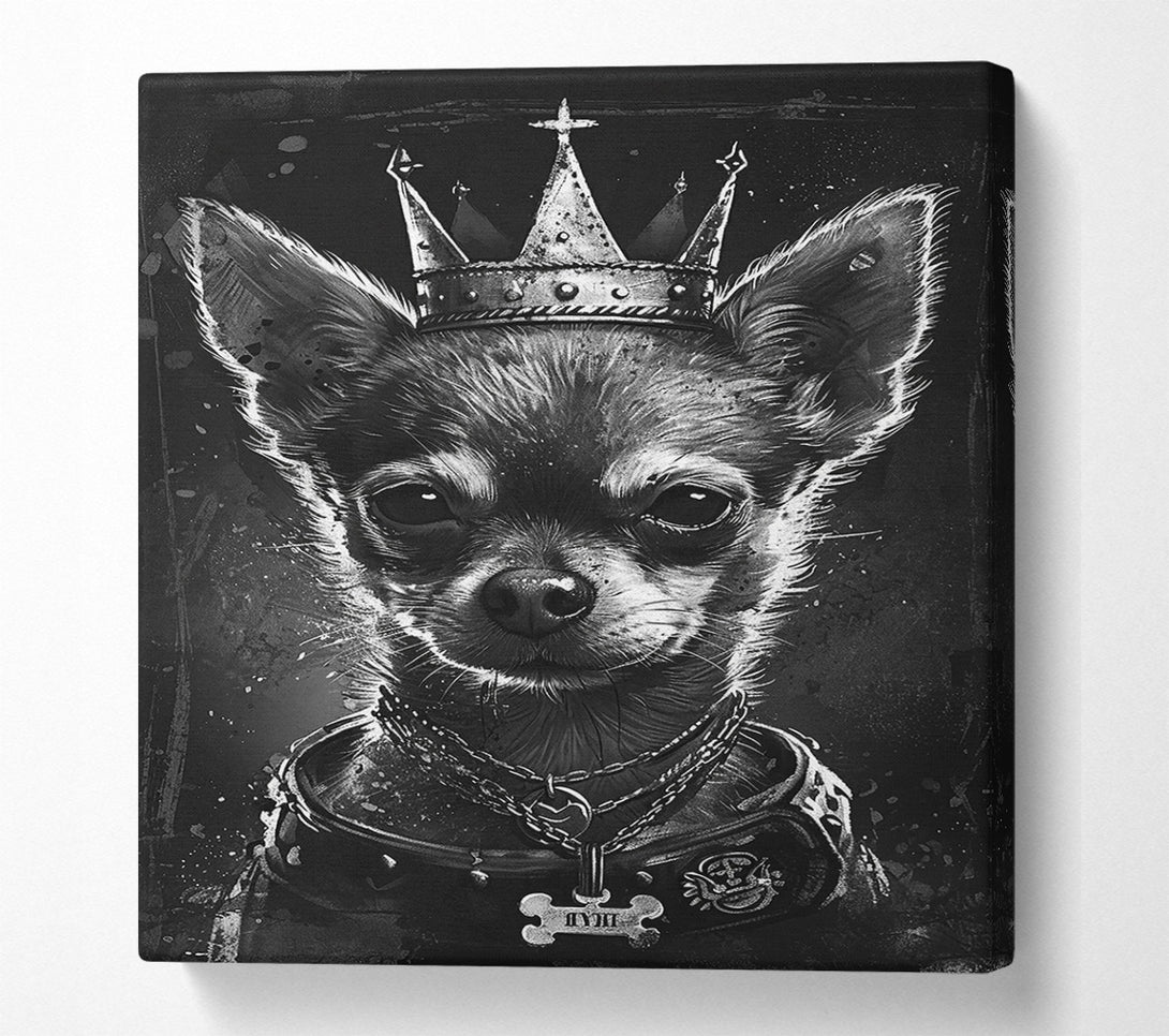  A Canvas Print of King Of The Chihuahuas Canvas Print