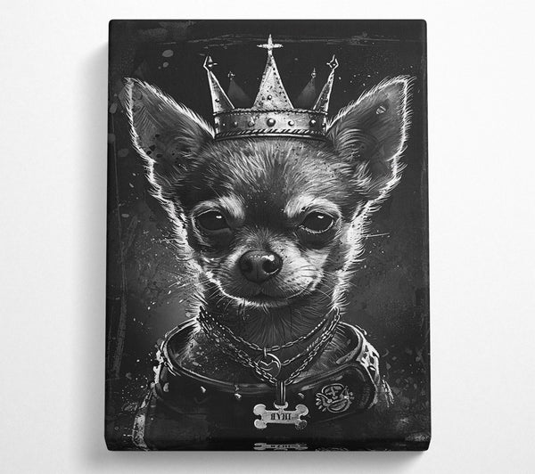  A Canvas Print of King Of The Chihuahuas Canvas Print