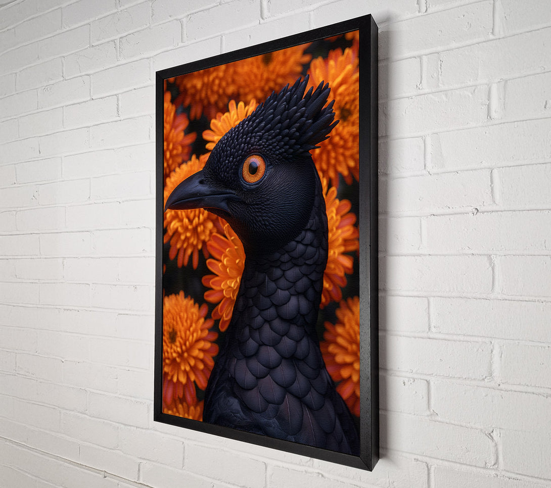  A Canvas Print of The Black Bird Of Paradise Canvas Art