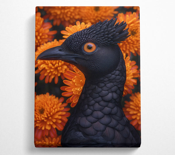  A Canvas Print of The Black Bird Of Paradise Canvas Art