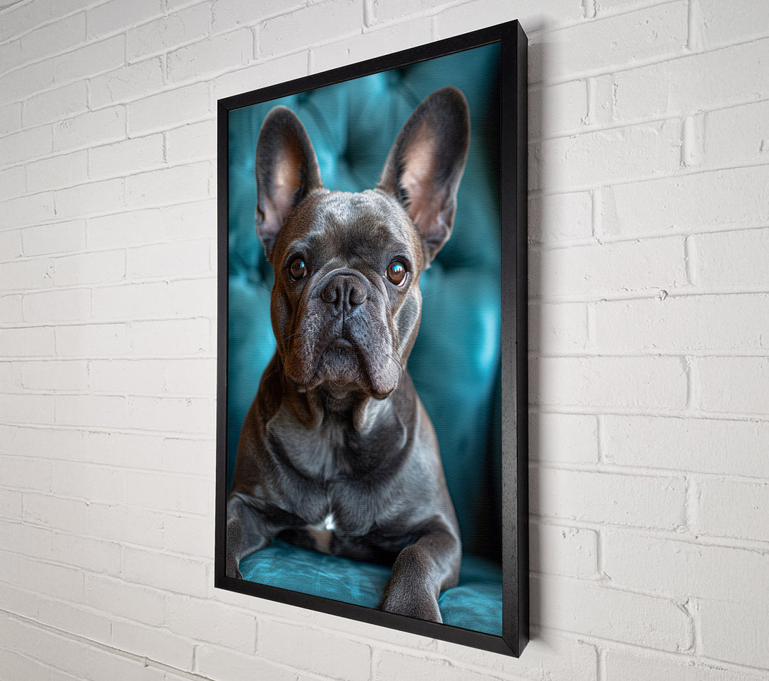  A Canvas Print of Frenchie Canvas Art