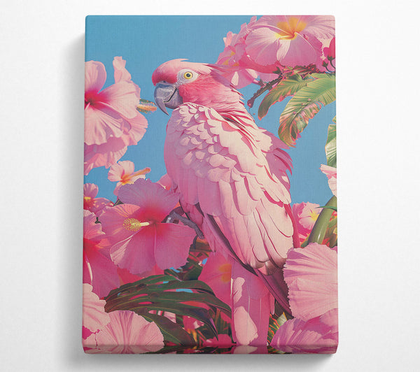  A Canvas Print of Blushing Bird Canvas Art