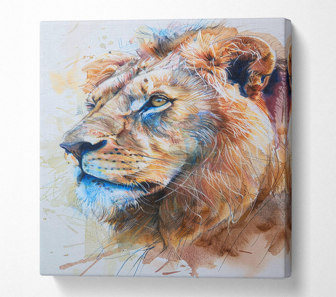  A Canvas Print of His Territory Canvas Print