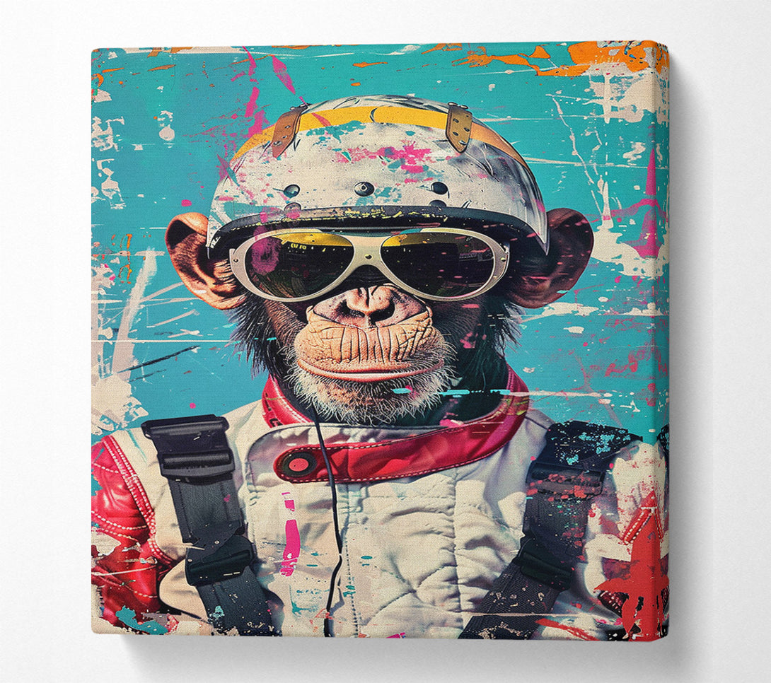  A Canvas Print of Cool Monkey Canvas Print