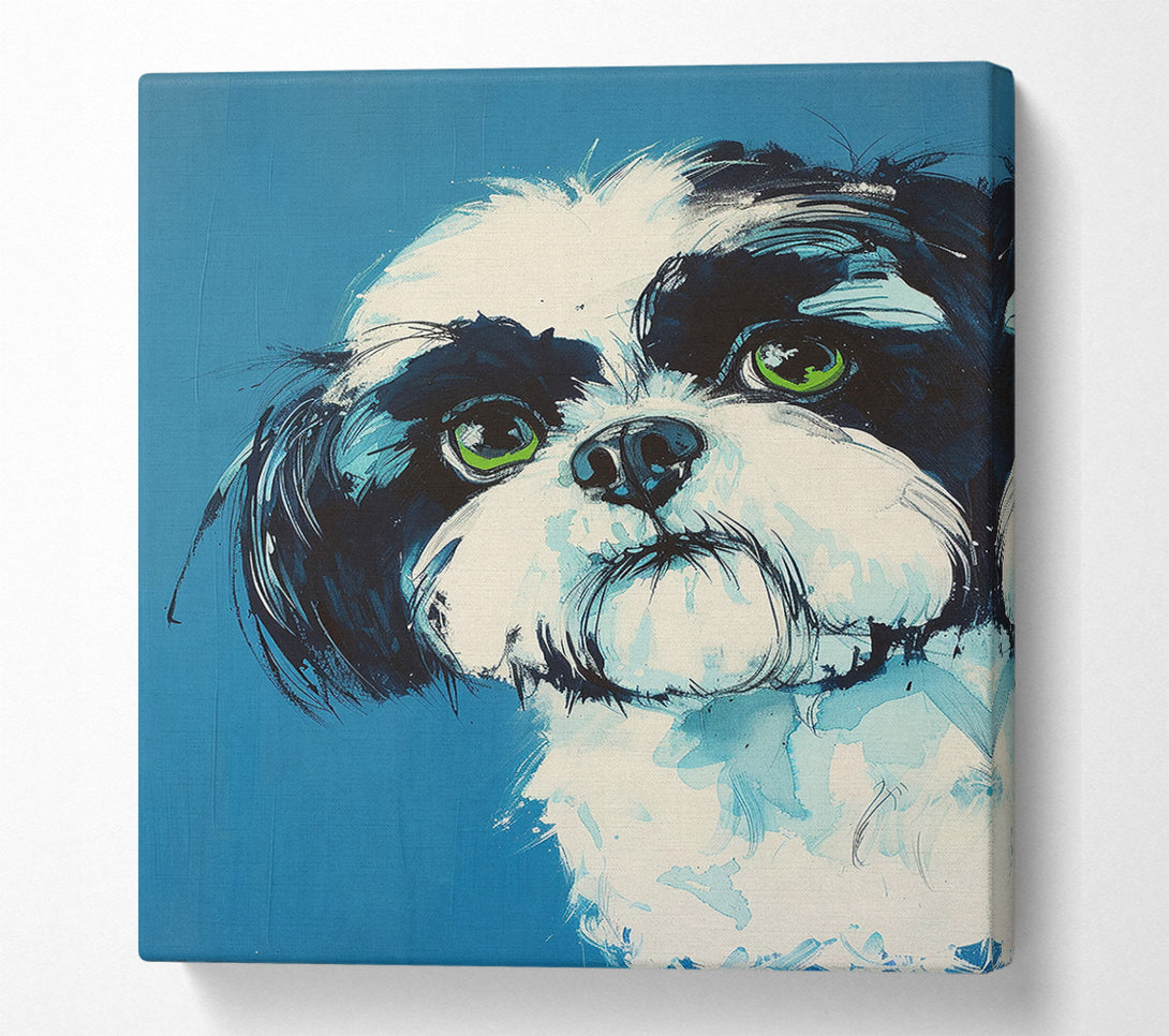  A Canvas Print of Shih Tzu Canvas Print