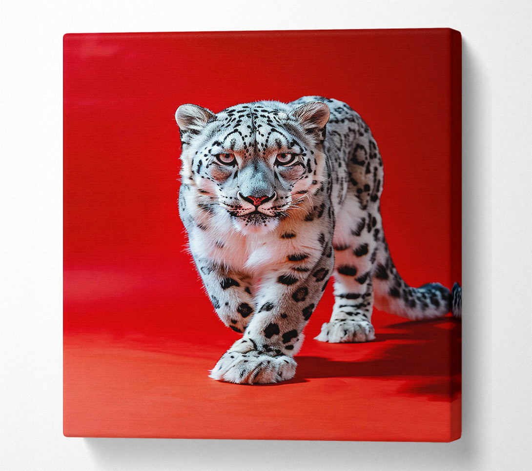  A Canvas Print of The Red Snow Leopard Canvas Print