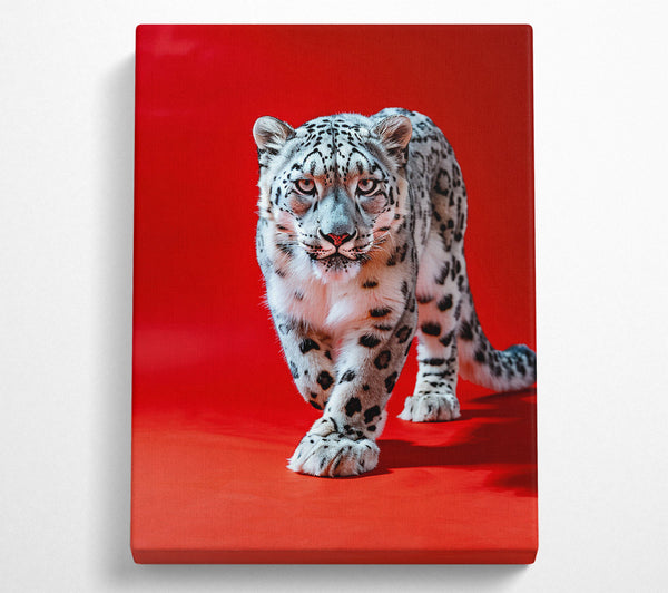  A Canvas Print of The Red Snow Leopard Canvas Print