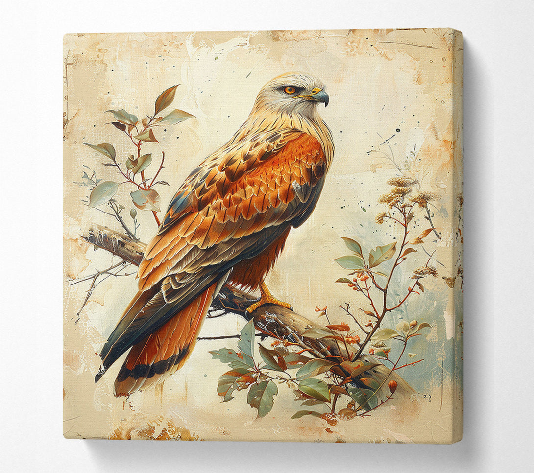  A Canvas Print of Autumnal Raptor Canvas Print