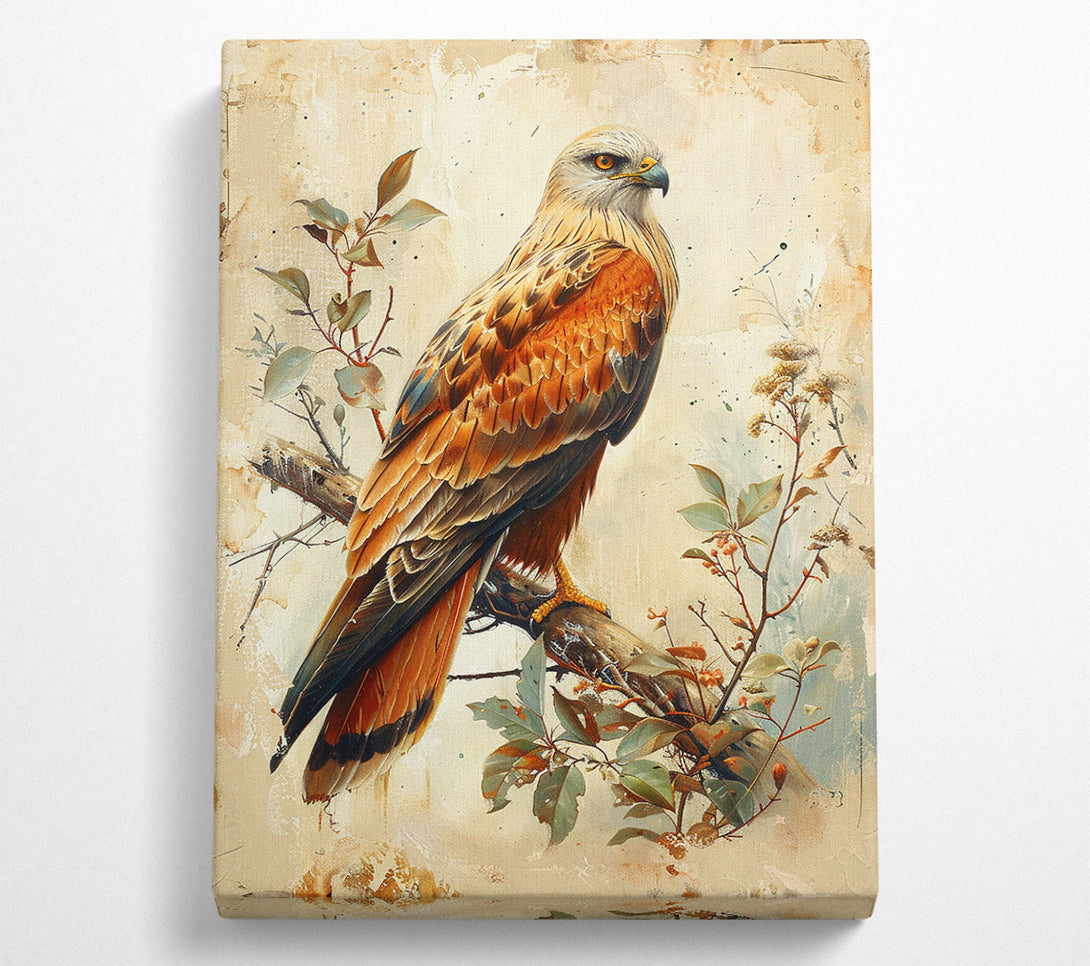  A Canvas Print of Autumnal Raptor Canvas Print
