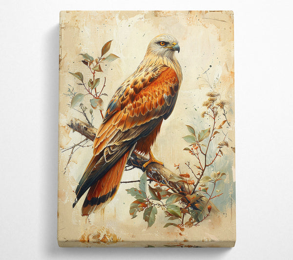  A Canvas Print of Autumnal Raptor Canvas Print