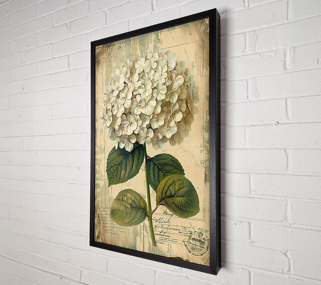  A Canvas Print of Vintage White Hydrangea Canvas Art