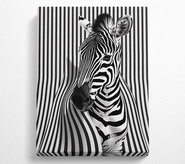  A Canvas Print of Zebra Pop Canvas Art