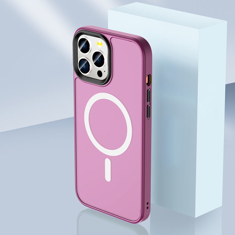Skin Feel TPU + Frosted PC MagSafe Phone Case, For iPhone 12 Pro Max, For iPhone 12 Pro, For iPhone 12