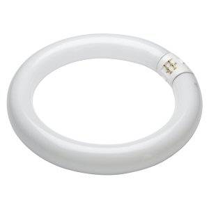 12w T9 205mm Circular LED 865 G10q 240V - Ledvance - 4058075135468