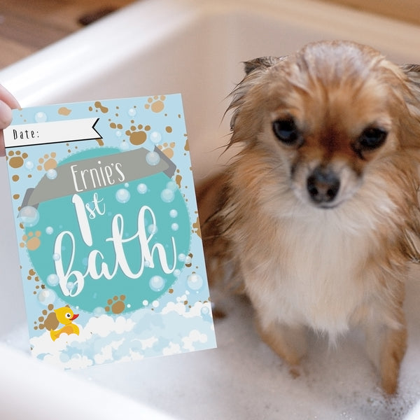 Greetings Cards